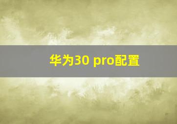 华为30 pro配置